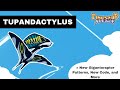 TUPANDACTYLUS OUT! -  Tupa Showcase, New Gigantoraptor Patterns, and More! | Dinosaur Arcade