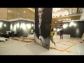 First Christie's China Auction Debut in Shanghai