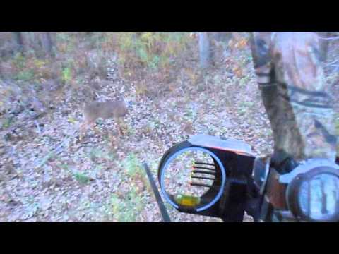 2015 Whitetail Buck Archery Tree Stand - YouTube