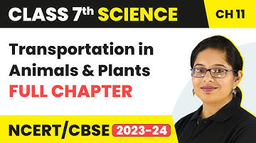 Transportation in Animals and Plants Full Chapter Class 7 Science | NCERT Science Class 7 Chapter 11
