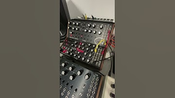 Quick idea jam from Moog DFAM and Sub Harmonicon #semimodular #moog