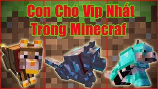 Nếu Bạn Nuôi Được Con Chó Vip Nhất Trong Minecraf** Sự Tiến Hóa Của Con Chó Trong Minecraft