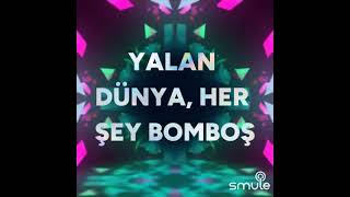 Bir Garip Yolcuyum Karaoke