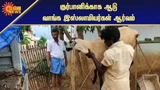 சென்னை பல்லாவரத்தில் ஆடுகள் விற்பனை அமோகம் | Goats for sale in Chennai Pallavaram | Sun News