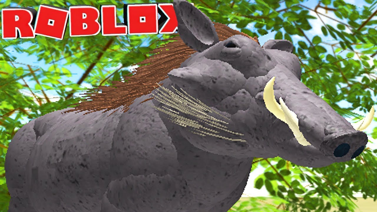 Wild Savannah Roblox Primatas Da Savana Cuidado Carnivoros Babuino 13 Gameplay Pt Br Youtube - el babuino wild savannah roblox gameplay español