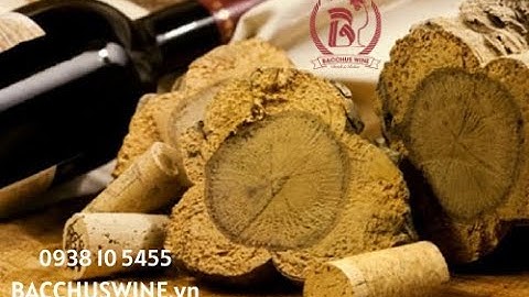 Nút Bần Rượu Vang được làm như thế nào, hãy cùng BACCHUS WINE tìm hiểu nhé !