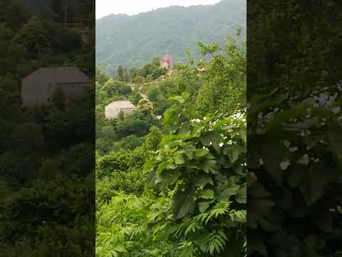 ქაქუთი ქობულეთი\n#ქობულეთი #ოზურგეთი