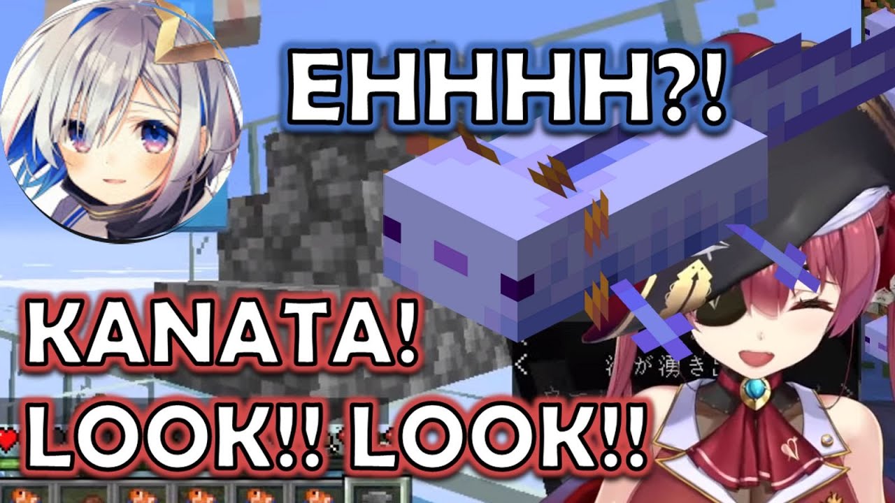 Marine Got Blue Axolotl within 1 Hour and Flex it to Kanata【HOLOLIVE】【ENG SUB】