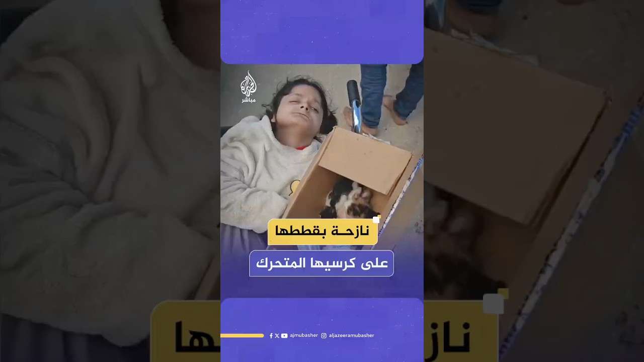 طفلة من ذوي الاحتياجات الخاصة تنزح رفقة قططها جرّاء الغارات الإسرائيلية