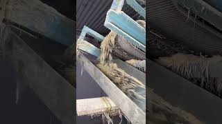 Millions os matchsticks making process 😱😱 #manufacturing #shorts #vijaythalapathy