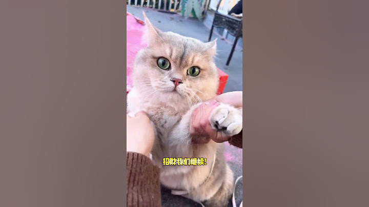 Why are you so stressed? This time I will take back the gems that belong to me! #lucky #cute #funny
