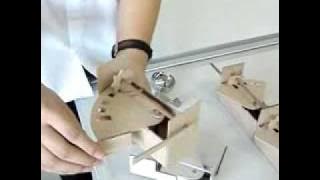 5216680313_Scoop_AR1022009.mp4