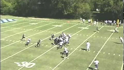 Allen Ervin RB Lambuth College Highlights
