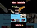 Class Turbellaria – Quick Facts#biology #tgt #neet