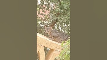 جمعة مباركة 🌸 #اكسبلور #جمعة_مباركة #سورة_الكهف #سورة_البقرة #القرآن_الكريم #الطبيعة