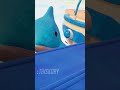 Little Sharky!