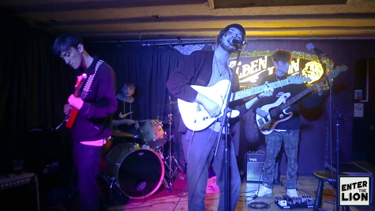 Hum Fuzz at Enter the Lion #1