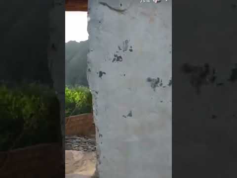 لماذا الاختلاف معه الفراق