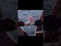 what aa lovely song 🫶😭#love #arjitsingh #aestheticvideo#aestheticsong