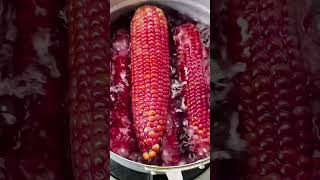 📍 ข้าวโพดหวานvs ข้าวโพดข้าวเหนียว#อาหาร #food #cooking #corn #sweetcorn #foodie #ข้าวโพด #อร่อย