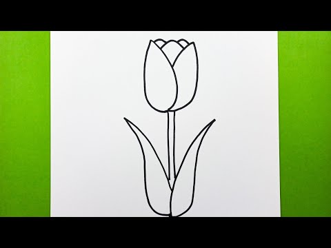 Çok Kolay Lale Çizimi, Adım Adım Lale Nasıl Çizilir, Kolay Çiçek Çizimleri, Easy Tulip Drawing