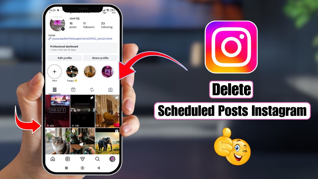 What Features Are Unavailable For Scheduled Posts On Instagram Sponsored Posts And Fundraisers Must Be Posted Live
