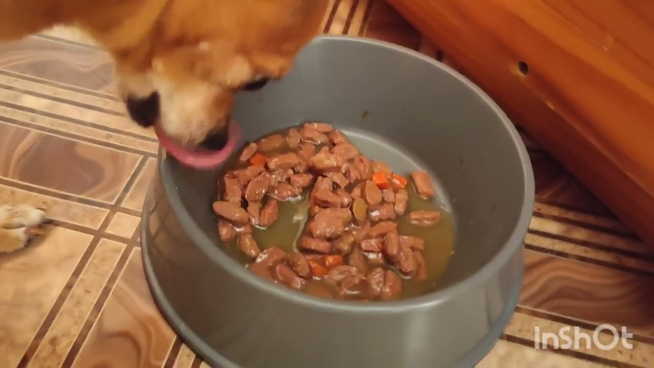 КАКА НЕЛКА САМА 🫣