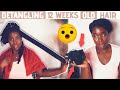 DETANGLING 12 WEEKS OLD TAILBONE LENGTH HAIR | LONGEST DETANGLING SESSION EVER! | SO MUCH SHED HAIR!