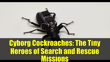 Cyborg Cockroaches: The Tiny Heroes of Search and Rescue Missions