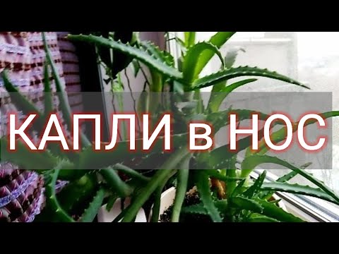 Капли из алоэ в домашних условиях для детей