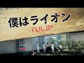 僕はライオン/TULIP