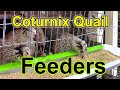 Coturnix Quail Feeders - Dealing with Feed Waste