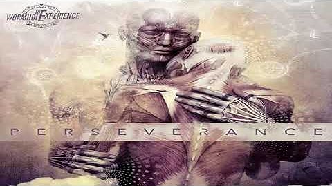 The Wormhole Experience - Number 9