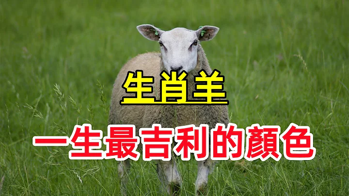 【生肖羊】一生「最吉利的顏色」屬羊人穿這個顏色的衣服，大富大貴發大財！ - 天天要聞