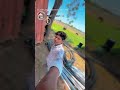 #timli #song New Timli Dhamaka Dahod#viral #10k