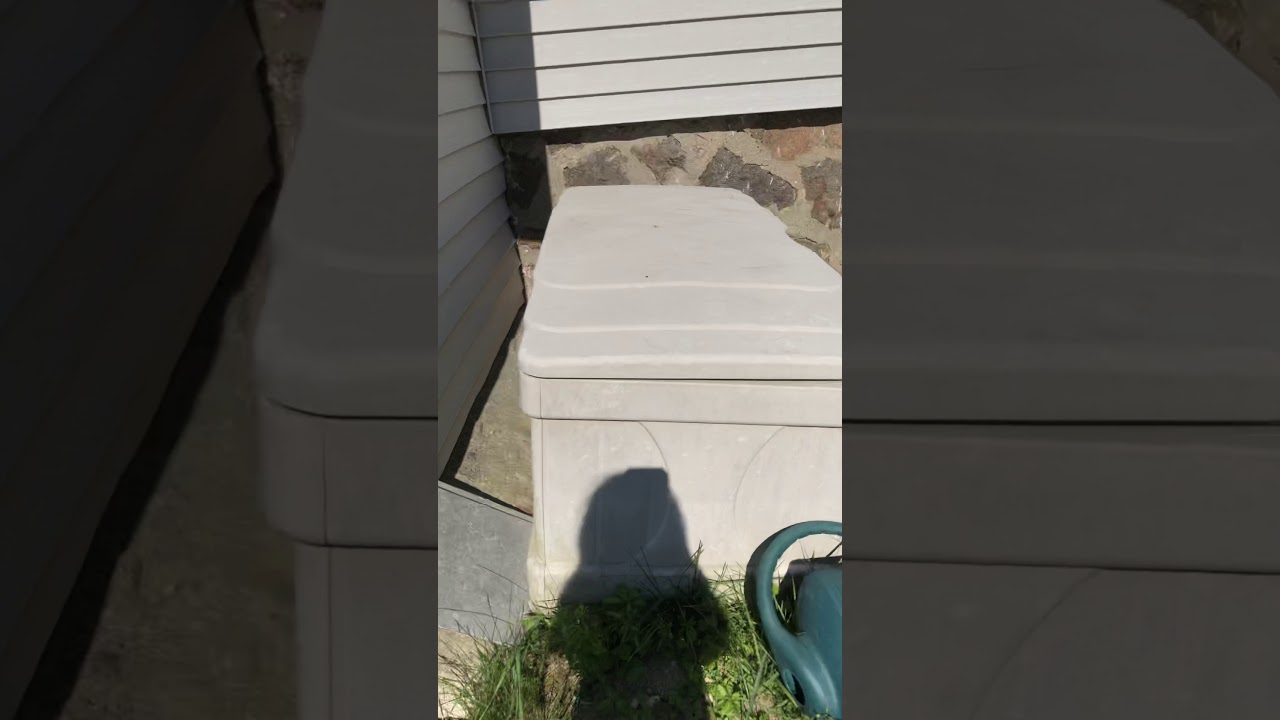 My backyard - YouTube