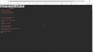 How to setup OpenClaw with Gemini API key