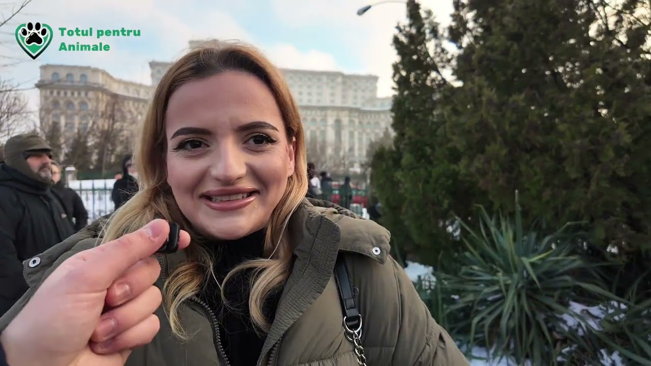 Vox Anima de la PROTESTUL împotriva cruzimii asupra animalelor București (8)