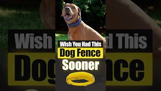 I Trusted This GPS Auto-Fence to Keep My Dog Safe… Here's What Happened!