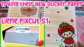 How I Create Custom Scrapbook Stickers at Home | Liene PixCut S1 | 2026