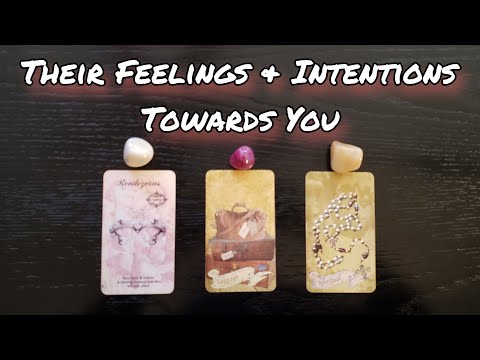๐๐ Their Feelings & Intentions ๐๐ Pick A Card Love Reading