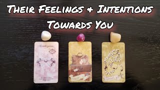 💕💗 Their Feelings & Intentions 💕💗 Pick A Card Love Reading