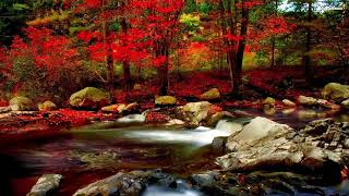 Musik Relaksasi di tepi sungai musim gugur