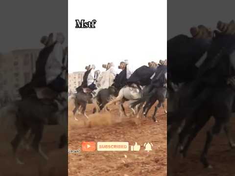 علفة العيداوي المشرية ولاية النعامة من مهرجان الوطني ببلدية مولاي سليسن ولاية سيدي بلعباس 2024