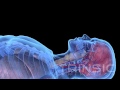 Liquid ventilation medical animation