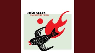 Passarinho (Patchworks Remix)