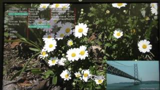 IP00C821 2K/FHD  PinP + Warping by CPU Control Demonstration