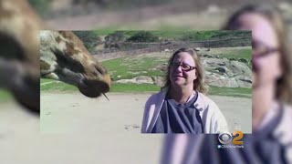 Long Island Woman Murdered While On Vacation