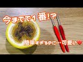 【1玉でできる】簡単で最高に使いやすいショール♪