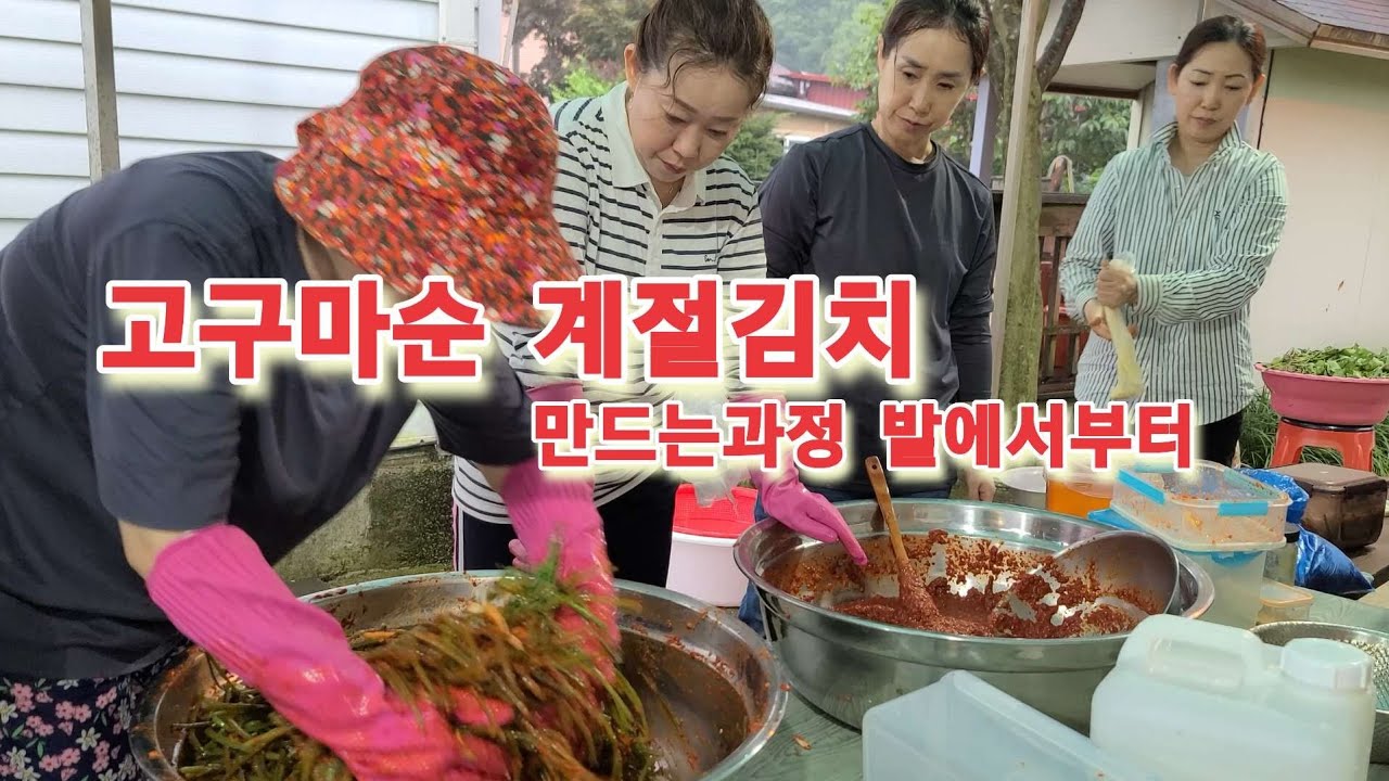 이거 찍고 넉다운..💦 한 통씩 쟁여가는 여름 보약, 고구마순김치 대잔치! (ft. 효녀X노동력 풀가동)Korean sweet potato kimchi